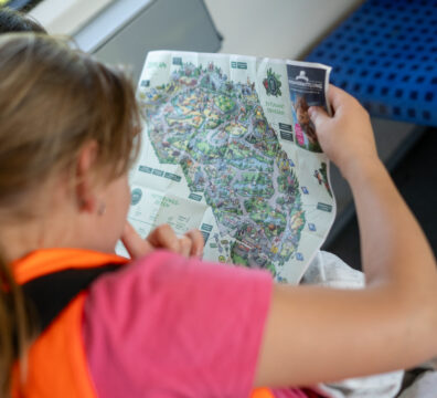 Aktionstag23 LETI-70